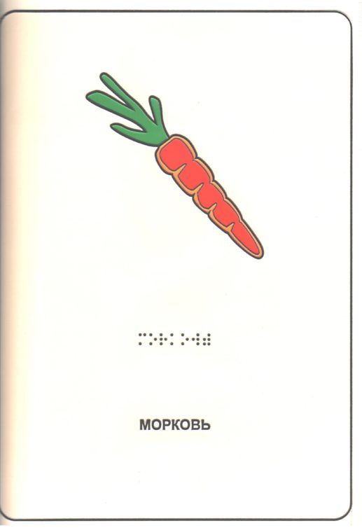 Иллюстрация к книге "Овощи". Морковь