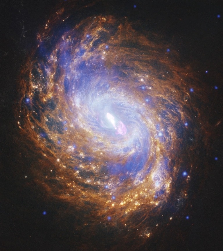 NGC 1068 — сравнительно близкая спиральная галактика с черной дырой в центре, масса которой вдвое превышает массу черной дыры Млечного Пути / © NASA / Chandra X-ray Observatory